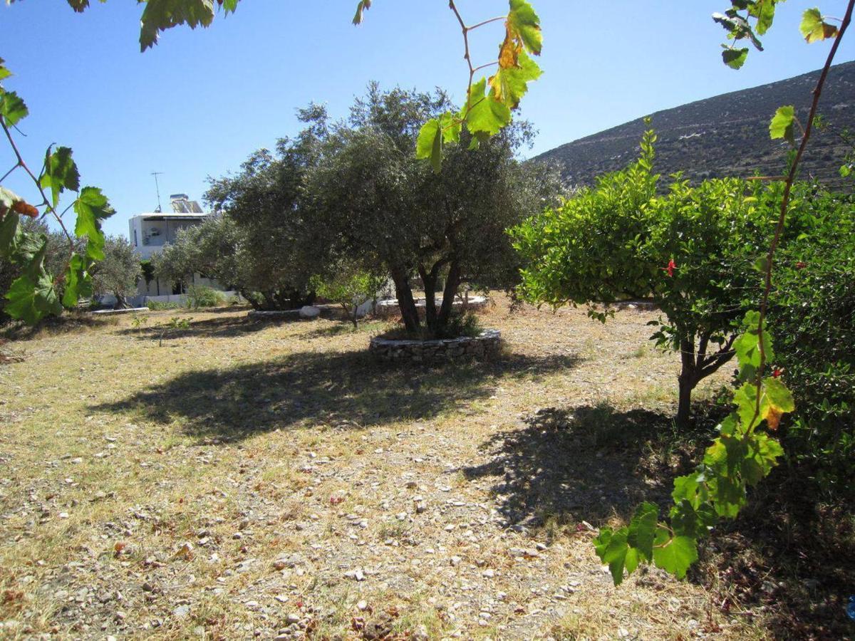 Elisso Villas Platis Gialos  Exteriör bild