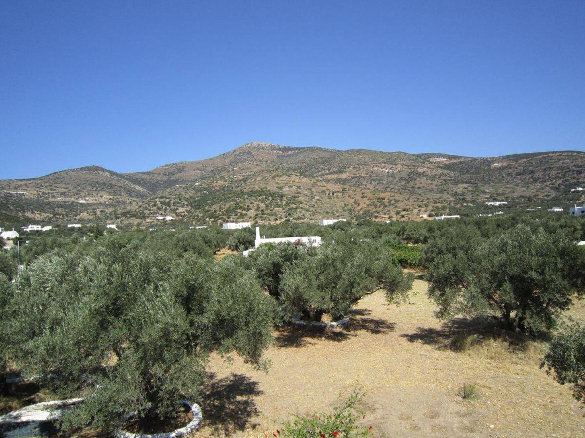 Elisso Villas Platis Gialos  Exteriör bild