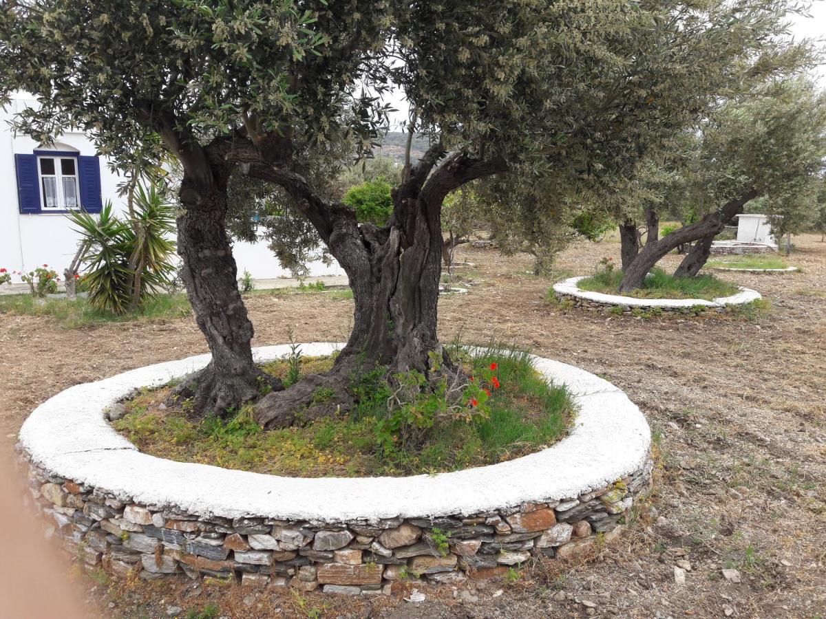 Elisso Villas Platis Gialos  Exteriör bild