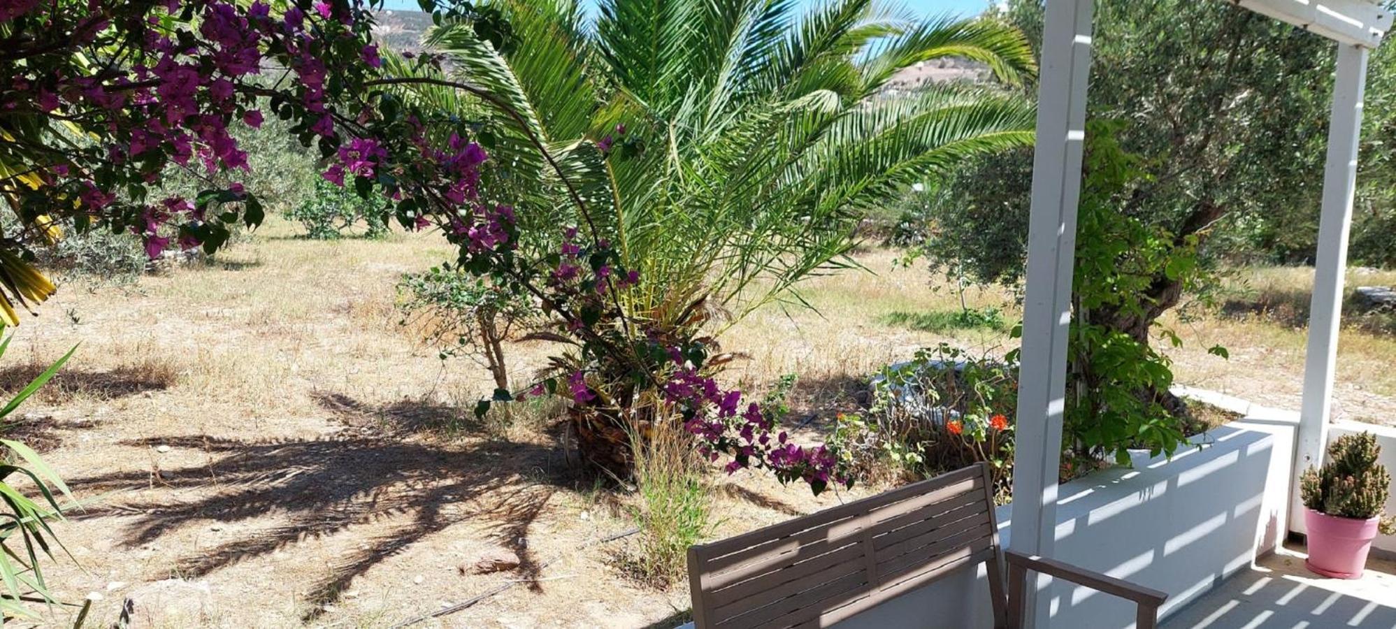 Elisso Villas Platis Gialos  Exteriör bild
